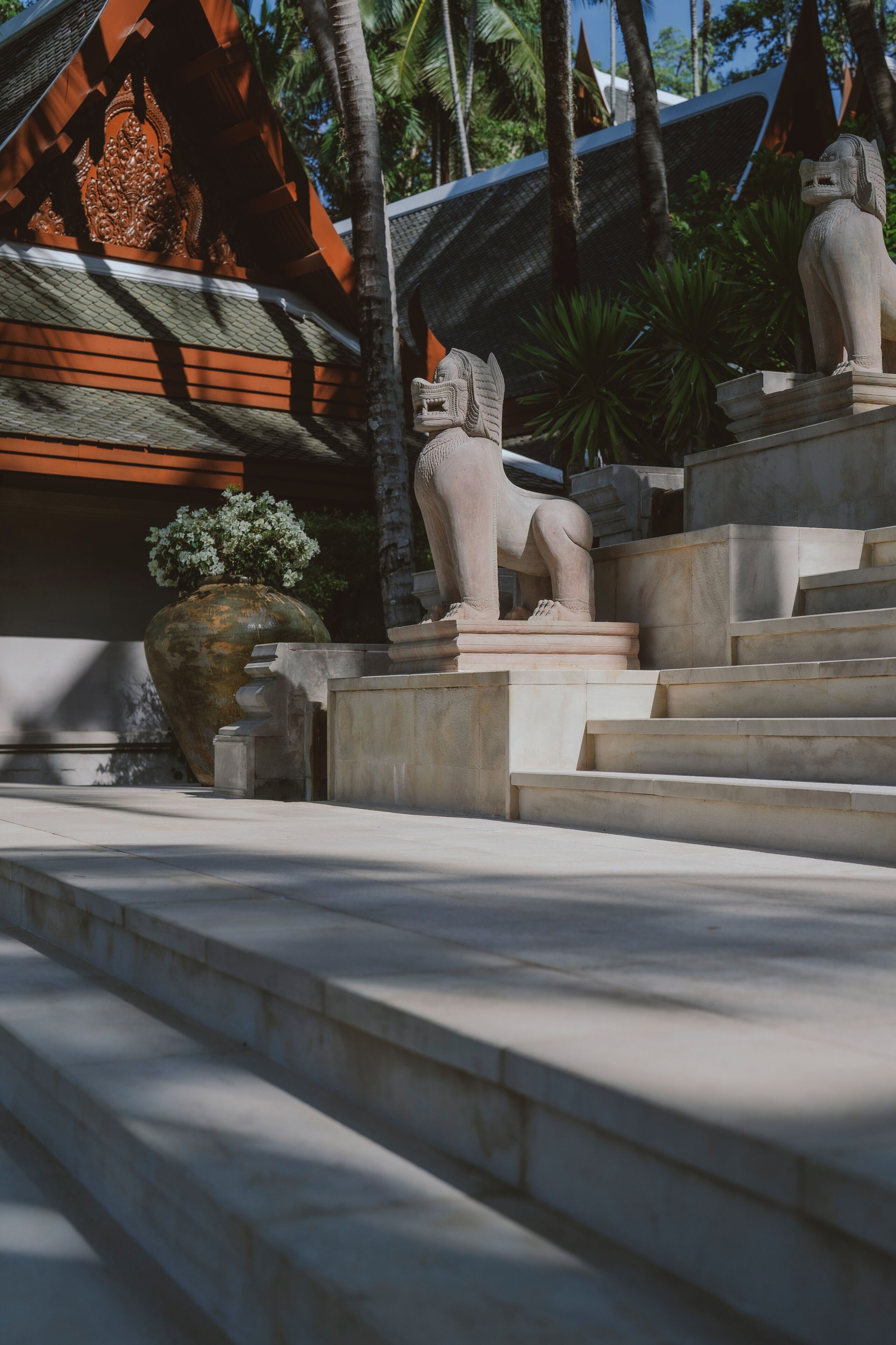 8 bedroom ocean front residence (rv8) | terrace/patio