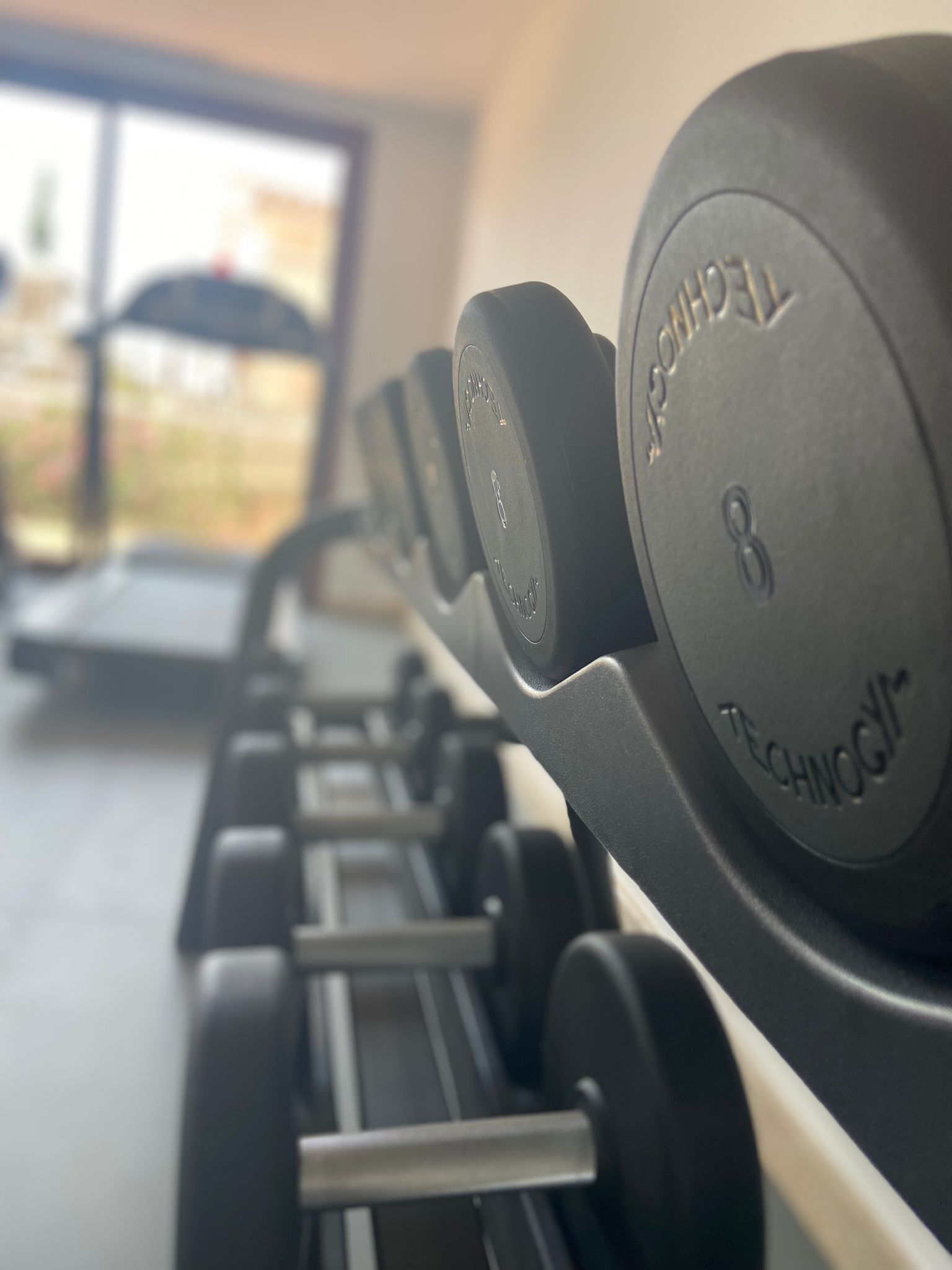 Een rij zwarte halter met duidelijke gewichtsmarkeringen en de merknaam 'TECHNOGYM'.