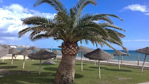 Una palmera en un área verde con sombrillas de paja y vista al mar.