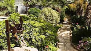 A pathway flanked by lush greenery and a building with balconies. - Anais Bay Hotel (Paralimni)