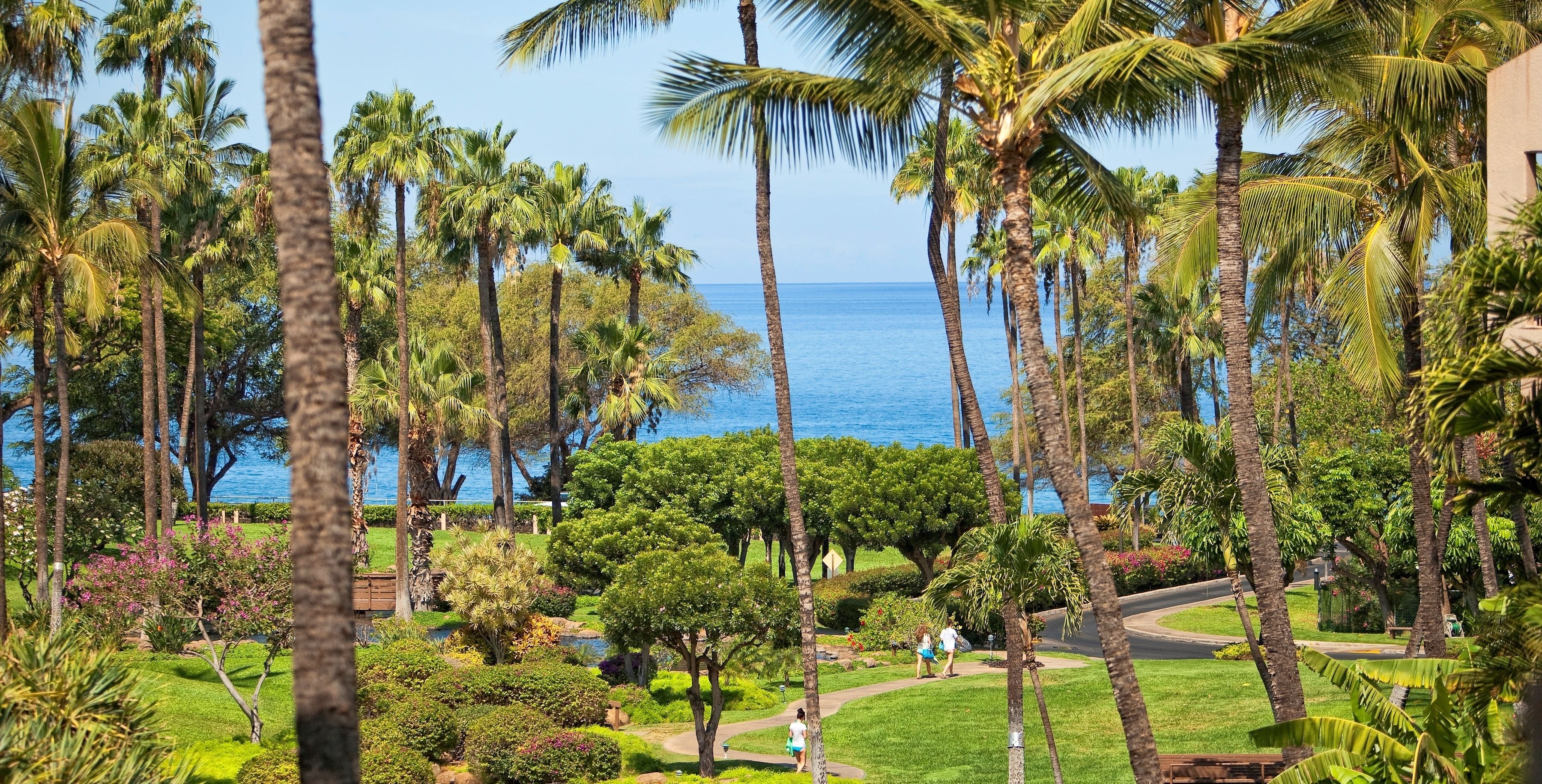 A lush garden with palm trees and a view of the ocean.