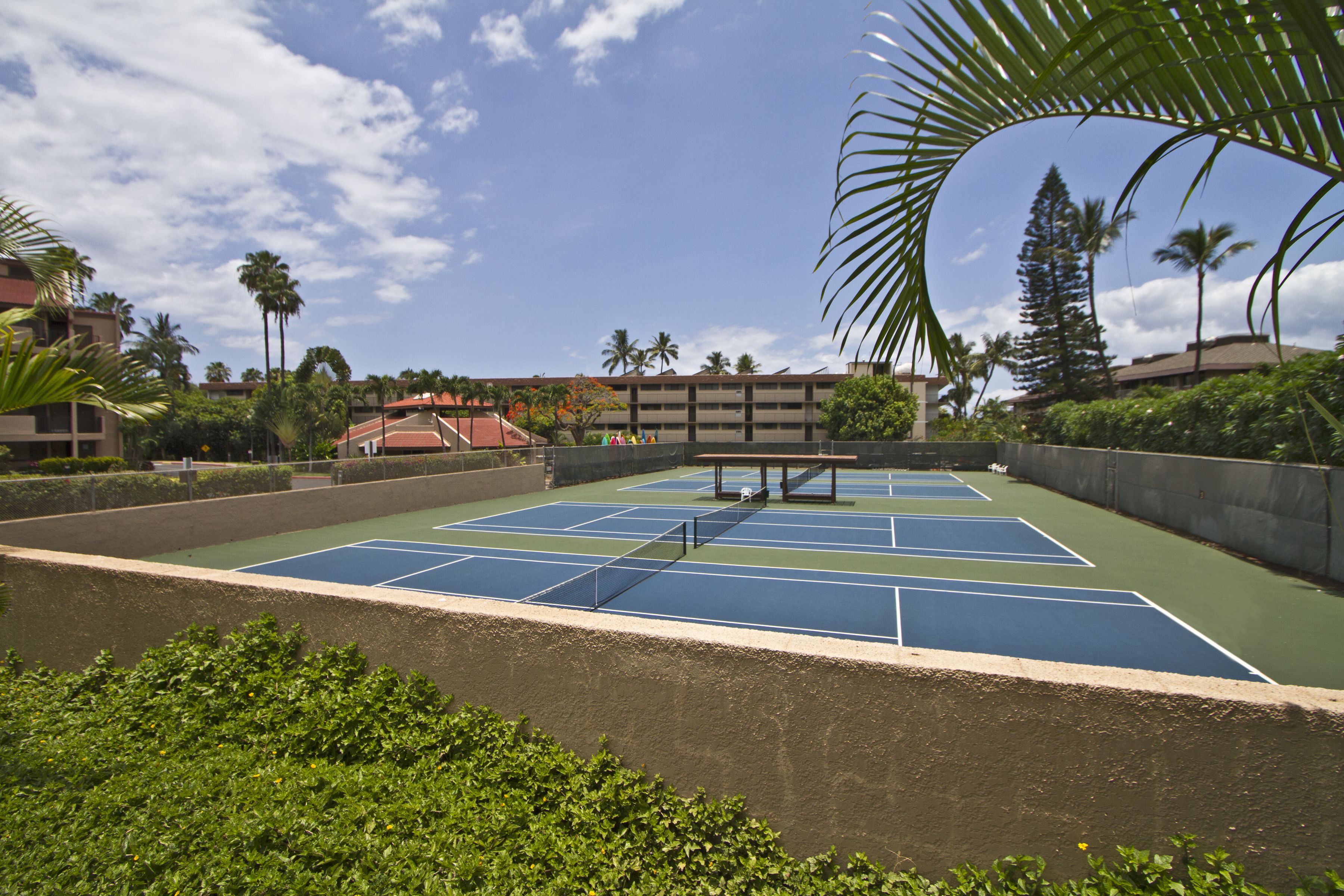 Un court de tennis avec un filet, entouré de verdure et de palmiers.