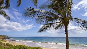 Una playa con palmeras, olas del océano y cielo despejado.