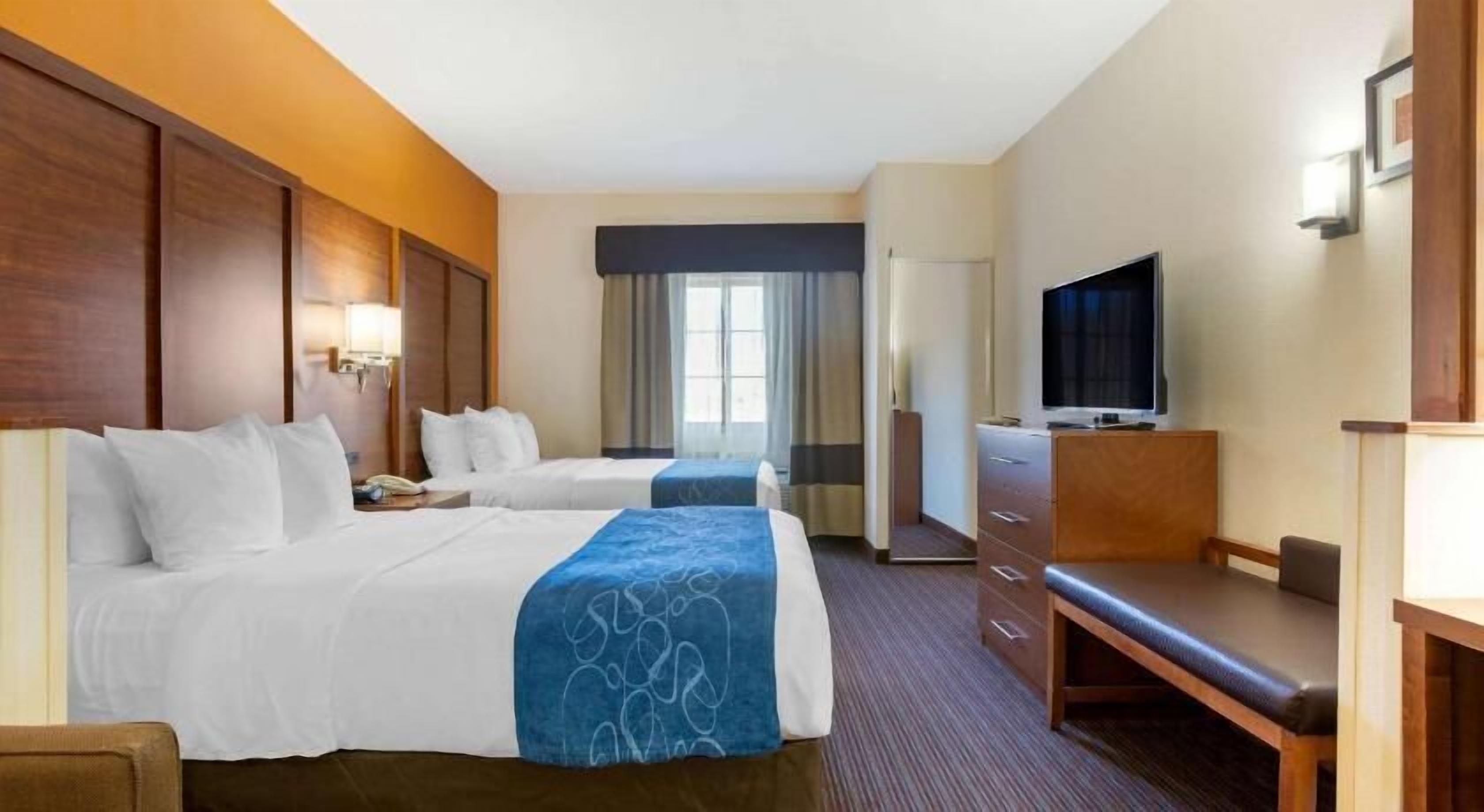 1 habitación y ropa de cama de alta calidad 