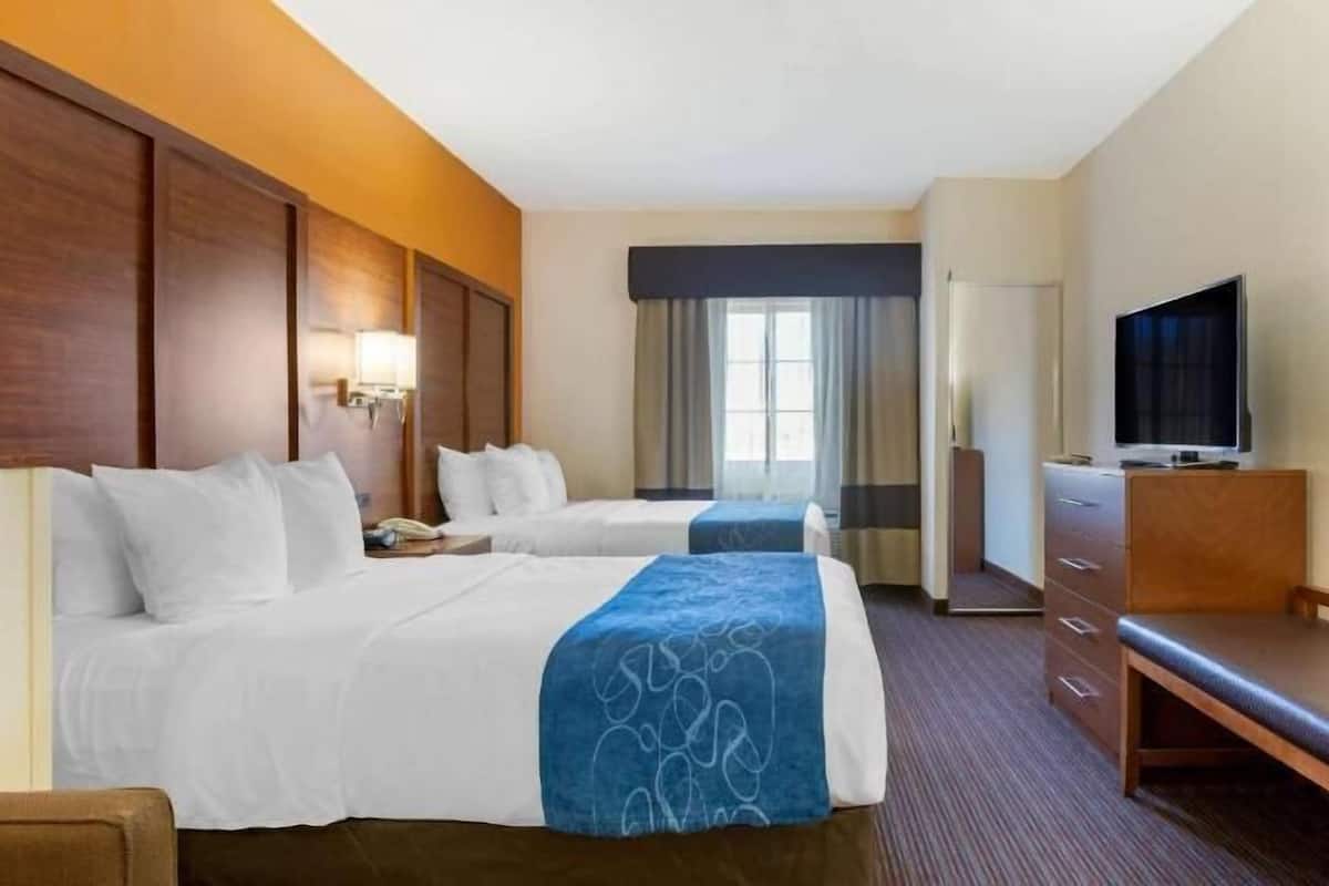 1 habitación y ropa de cama de alta calidad
