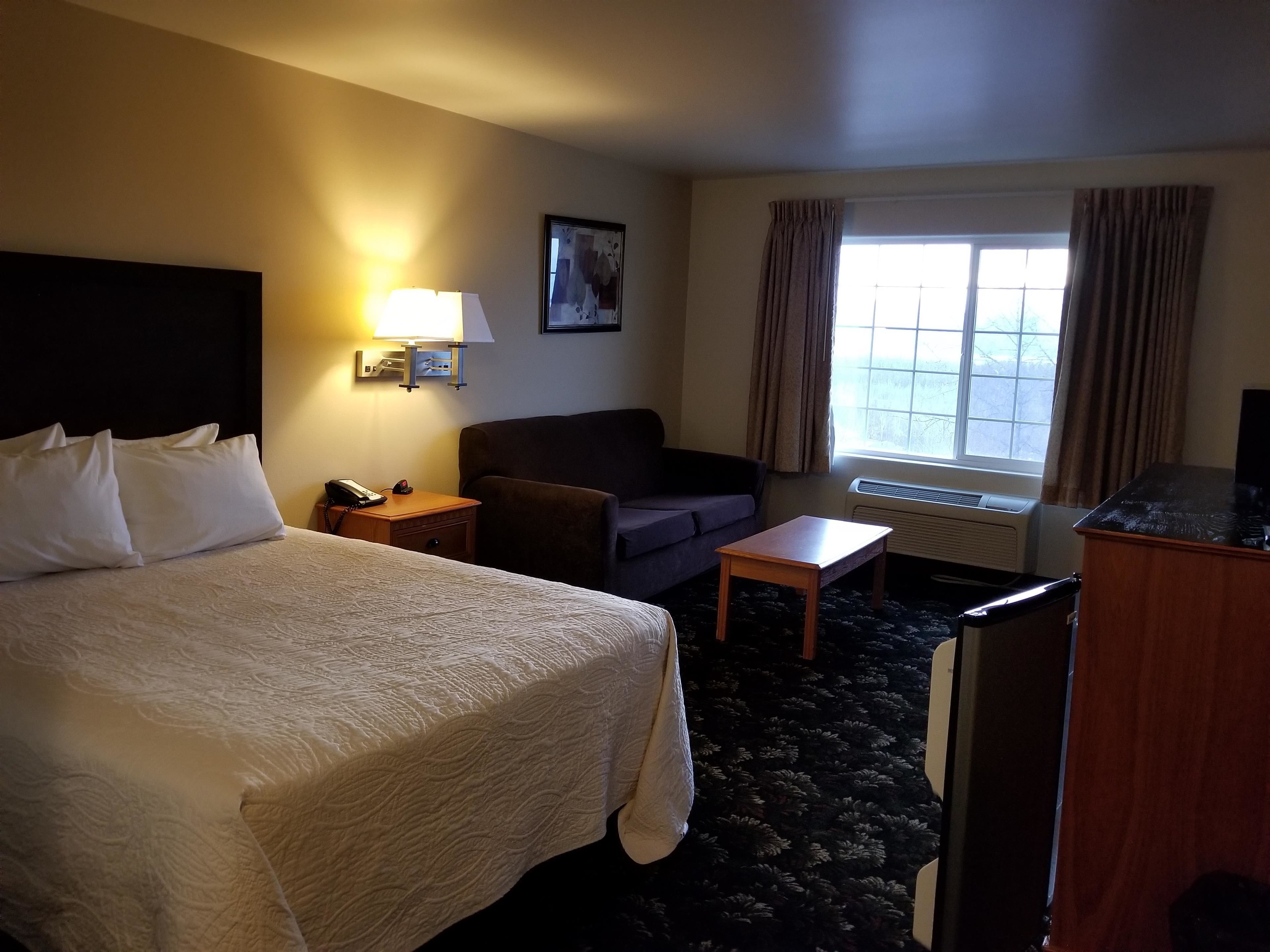 A hotel room with a large bed, a sofa, a small table, a lamp, a picture on the wall, and a window with curtains.