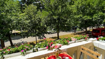 Deluxe Double or Twin Room, Balcony | Balcony view