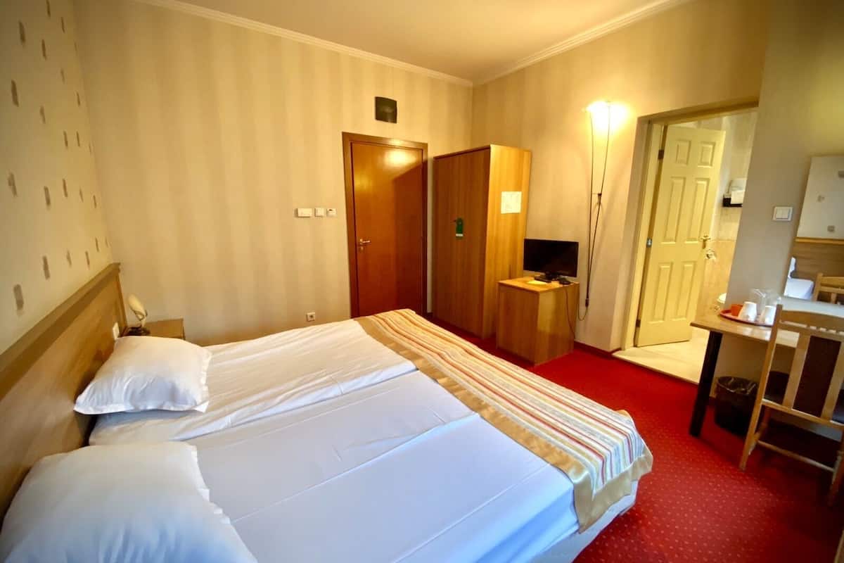 Camera Standard con letto matrimoniale o 2 letti singoli | Minibar, una cassaforte in camera, ferro/asse da stiro, Wi-Fi gratuito