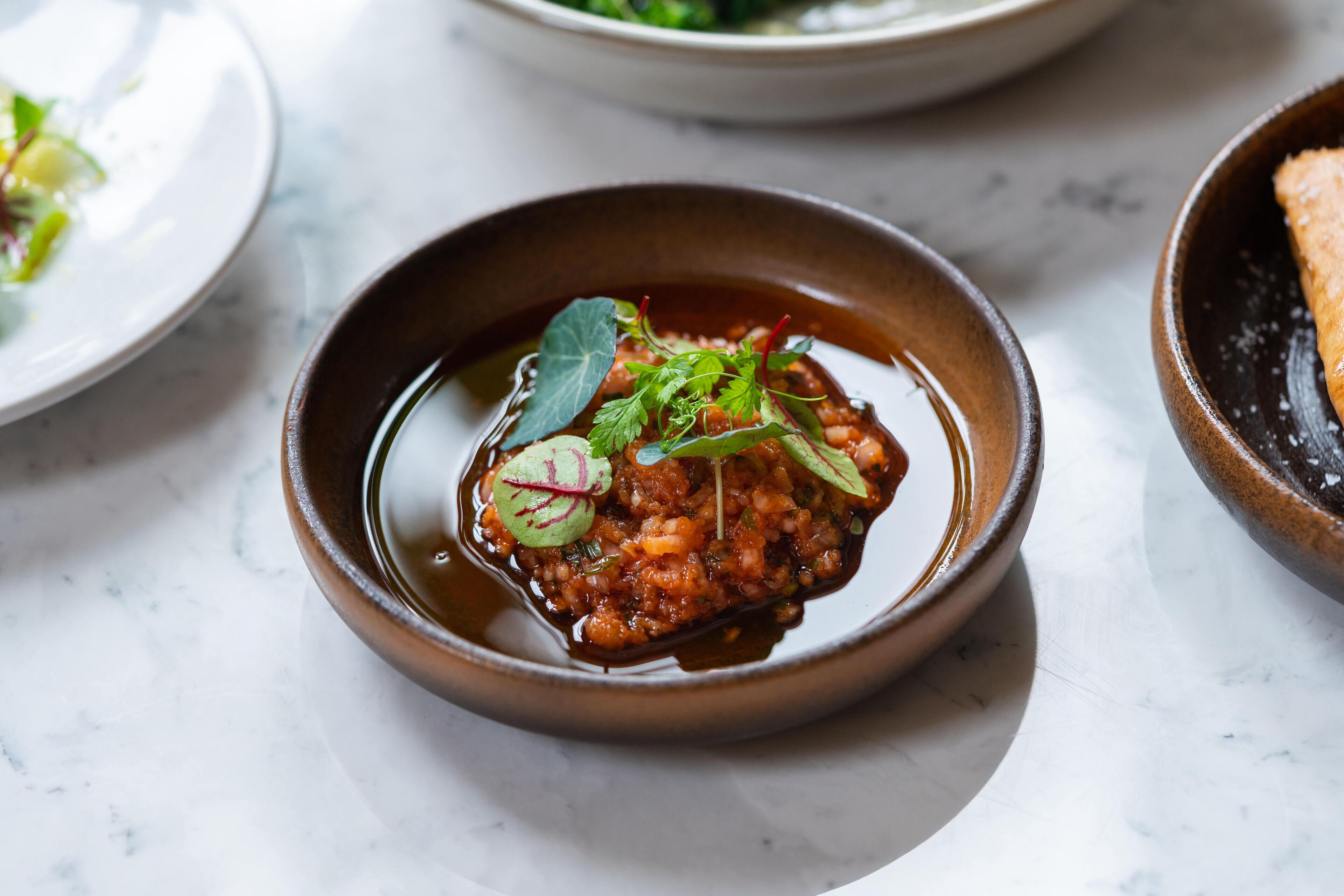 A bowl of food with a dark sauce, garnished with herbs and radish slices.