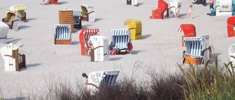 A beach with numerous beach chairs and umbrellas, some with numbers on them.