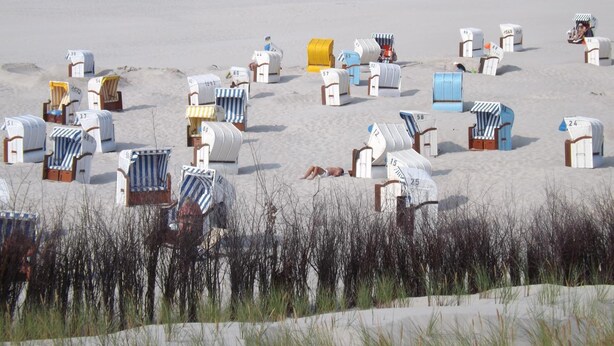 A beach with numerous beach chairs and umbrellas, some with numbers on them, arranged on the sand. - Nordseehotel Freese (Juist)