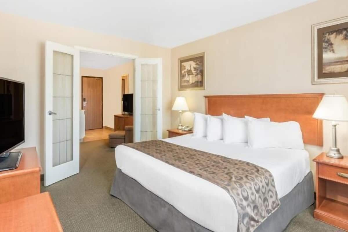 Quarto de hotel com uma cama, televisão, escrivaninha, abajur e um quadro na parede.