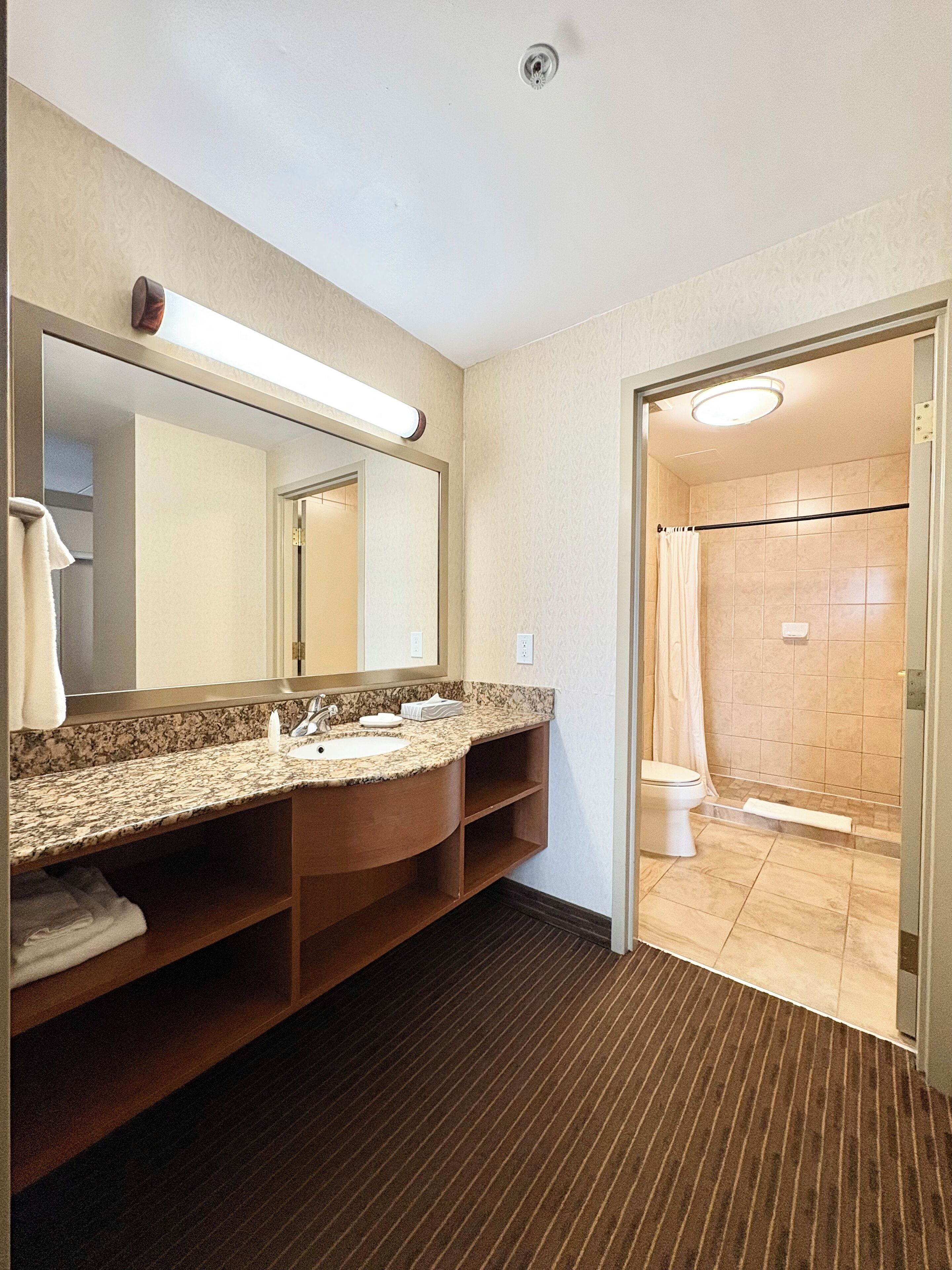 Business suite, 1 kingsize bed met slaapbank, niet-roken | Badkamer | Gratis toiletartikelen, een haardroger, handdoeken, zeep