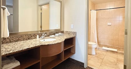Waterloo Suites Hotel, Trademark Collection by Wyndham