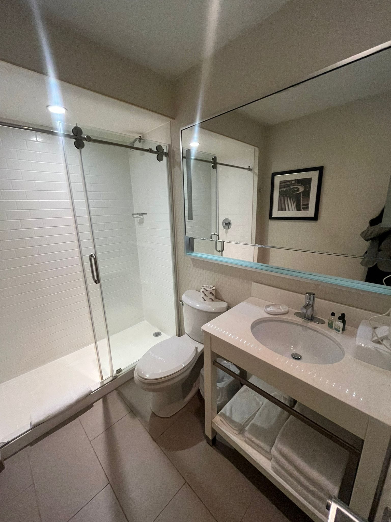 A modern bathroom with a glass-enclosed shower, a toilet, and a sink with a mirror above.
