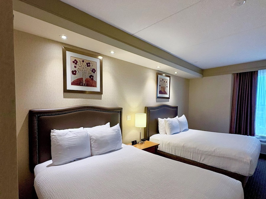 Deluxe Room, Multiple Beds, Non Smoking | Premium bedding, down comforters, pillowtop beds, in-room safe
