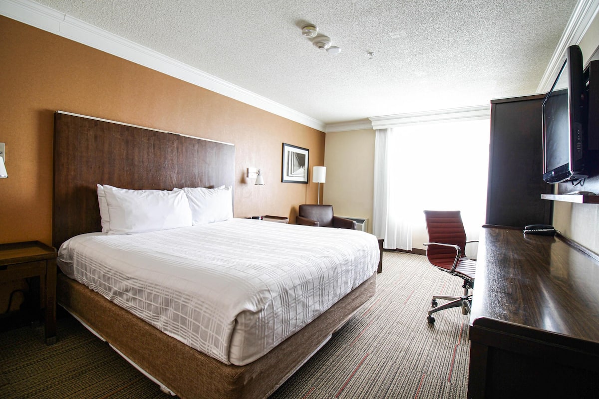 Premium bedding, down duvets, pillow-top beds, in-room safe