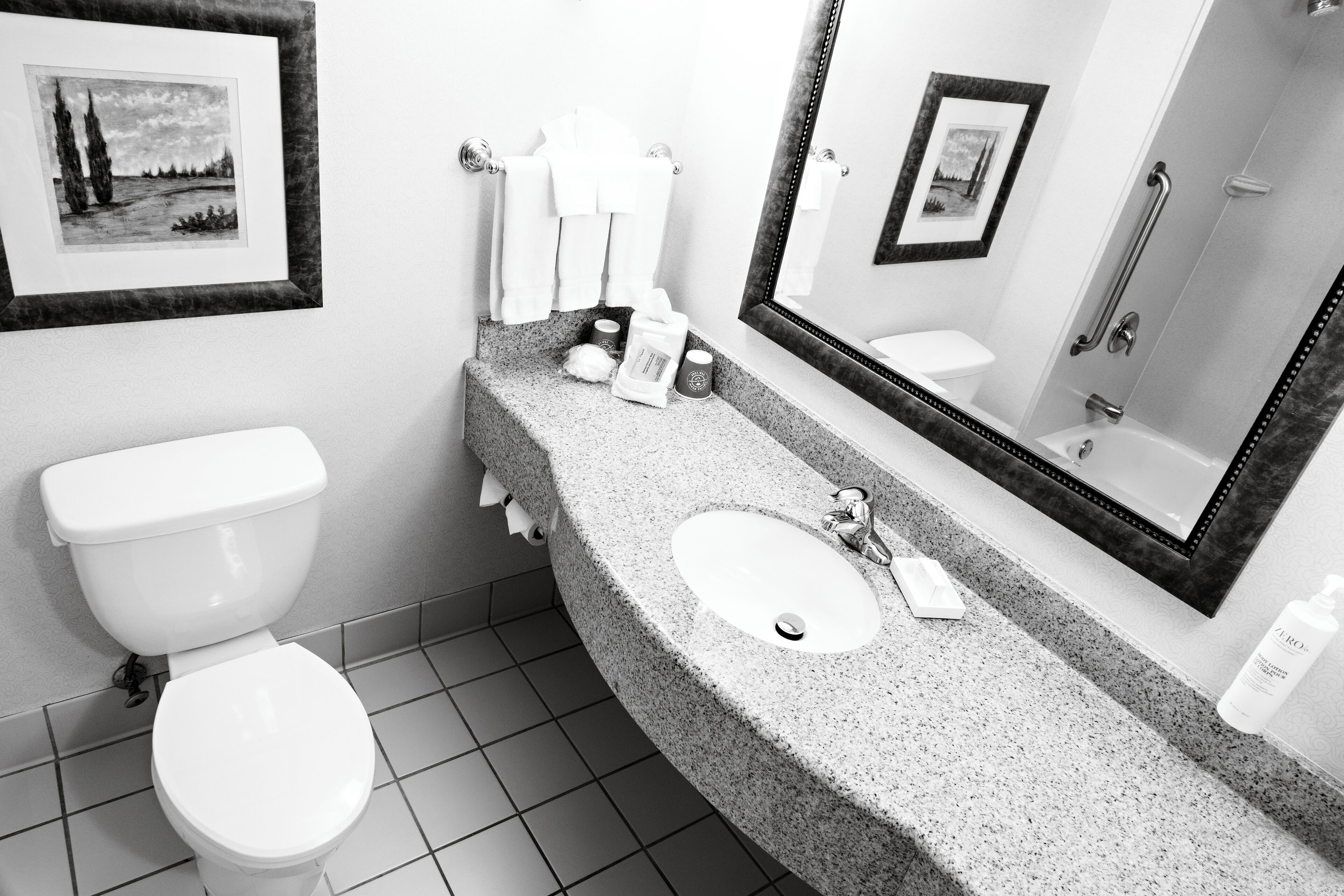 combined shower/bathtub, free toiletries, hair dryer, towels