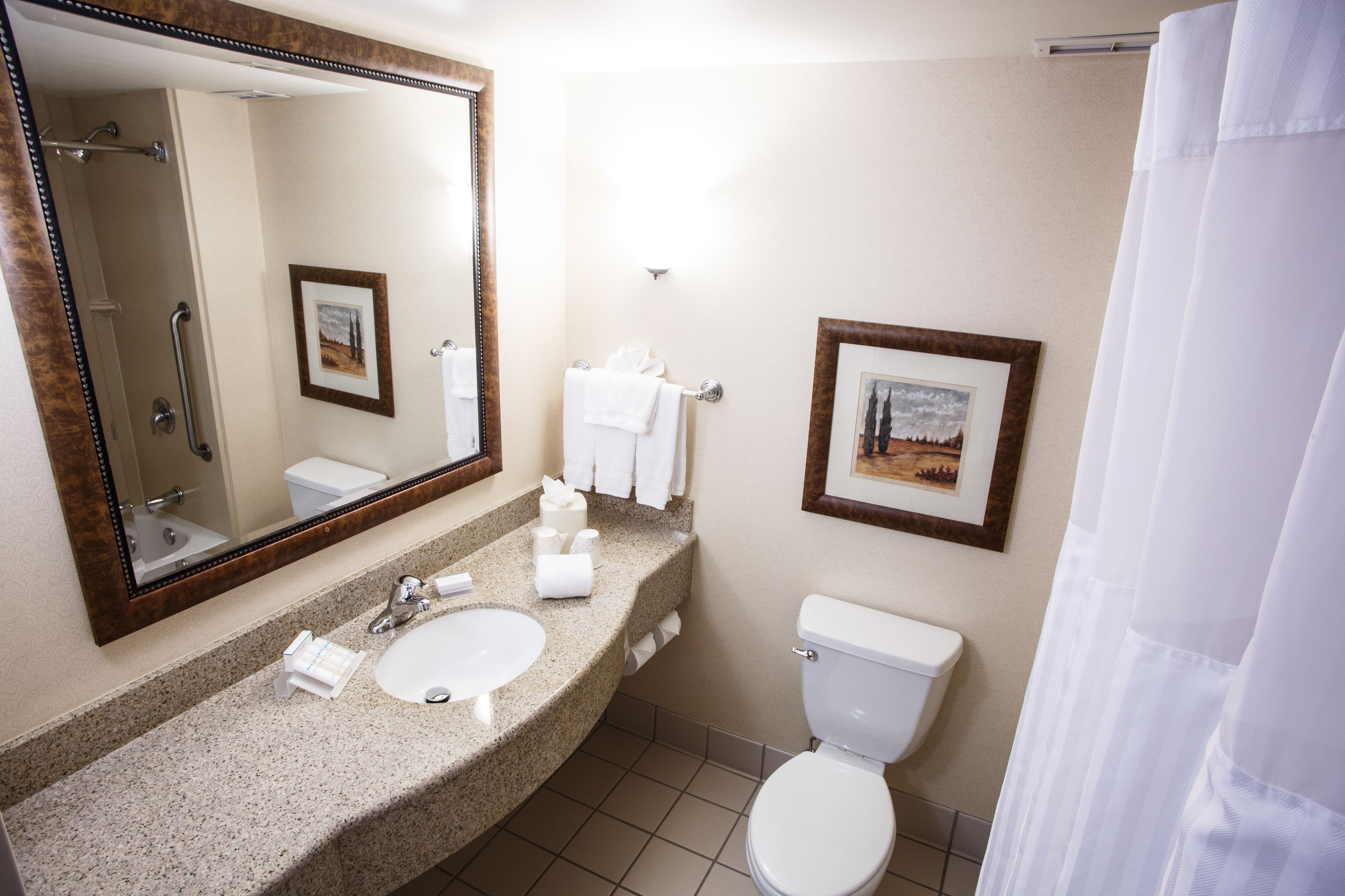 premium bedding, down duvets, in-room safe, iron/ironing board