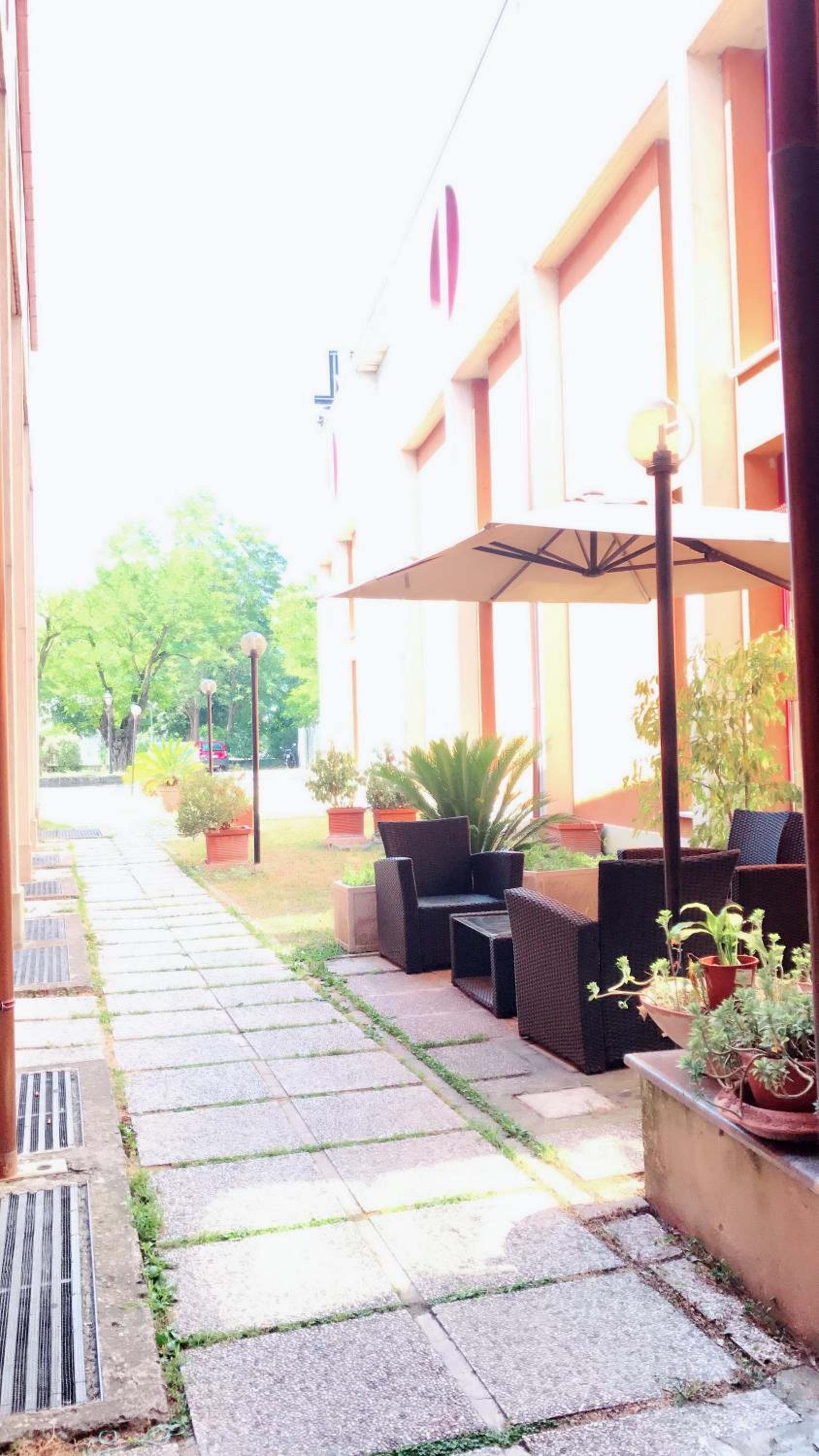 An outdoor seating area with chairs and tables, a pathway, and potted plants.