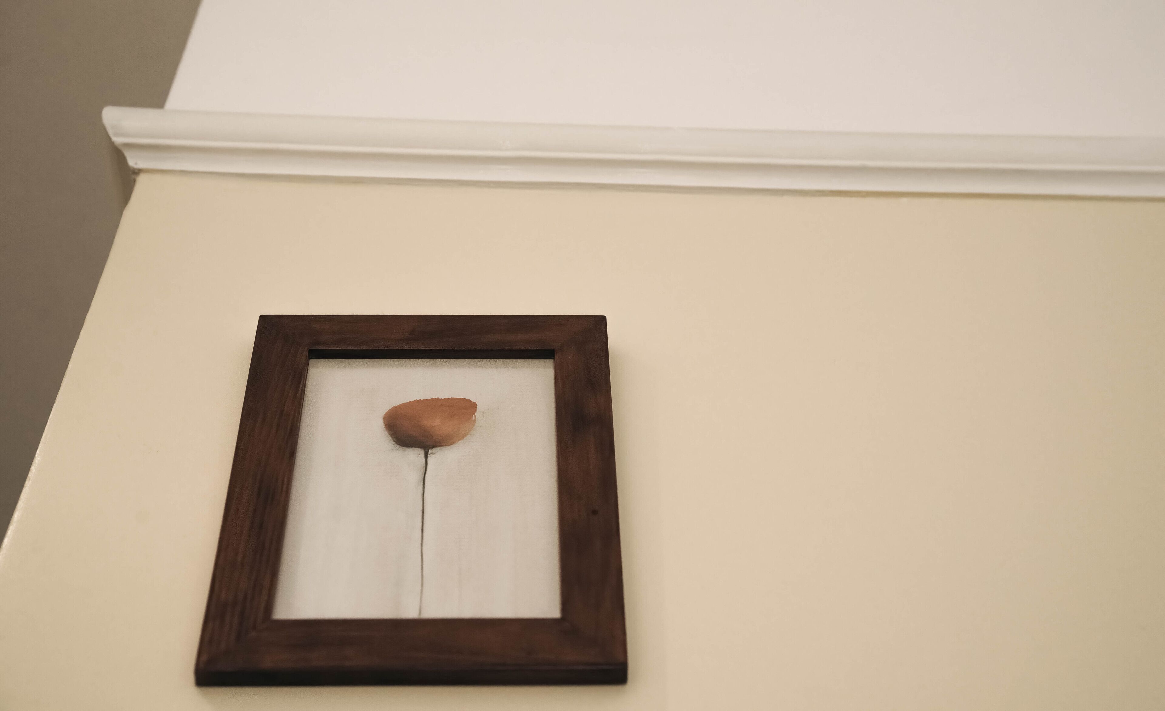 Un cuadro enmarcado con una sola roca en una pared.