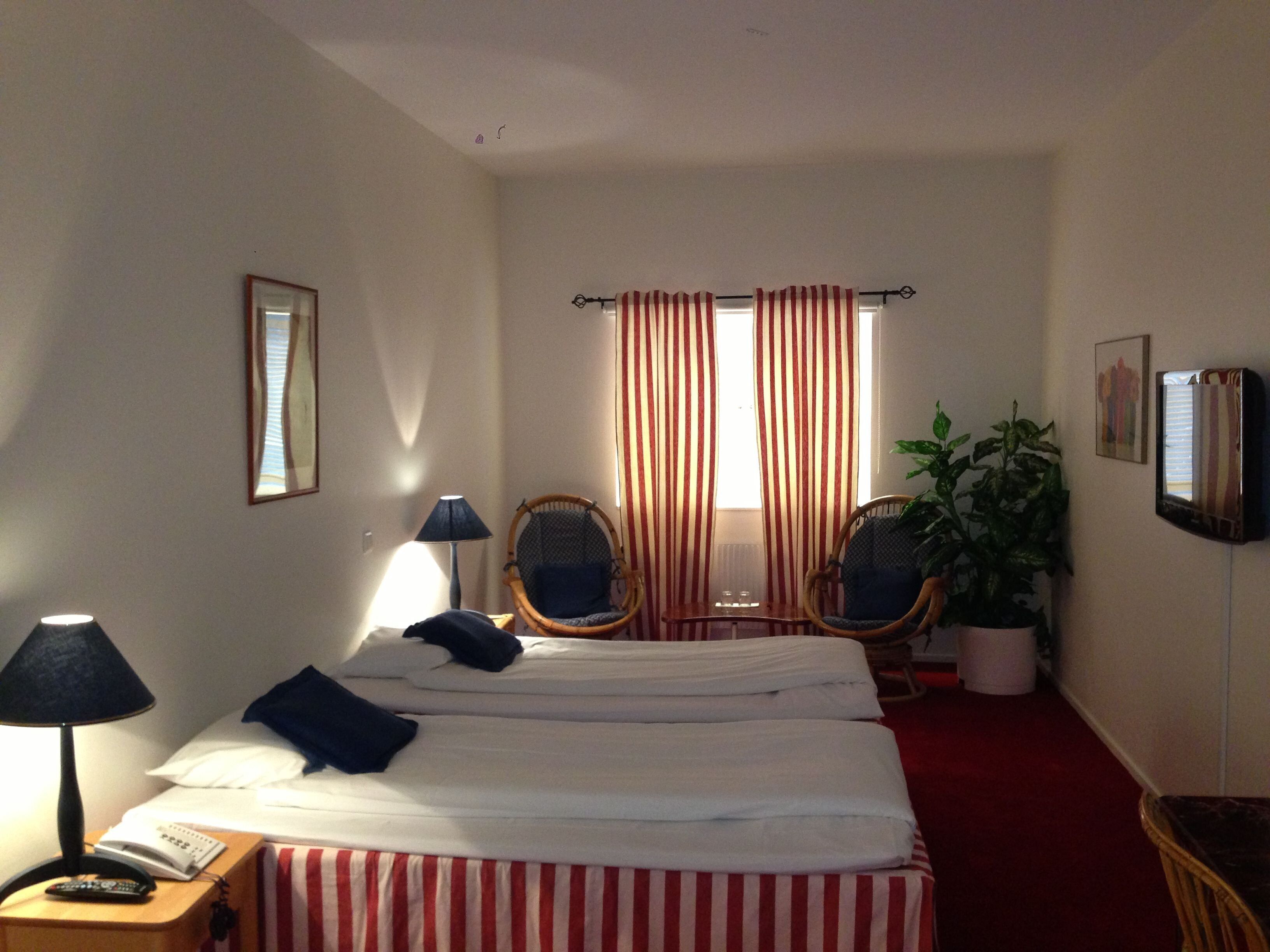 A hotel room with a bed, two chairs, a lamp, a potted plant, and a television.