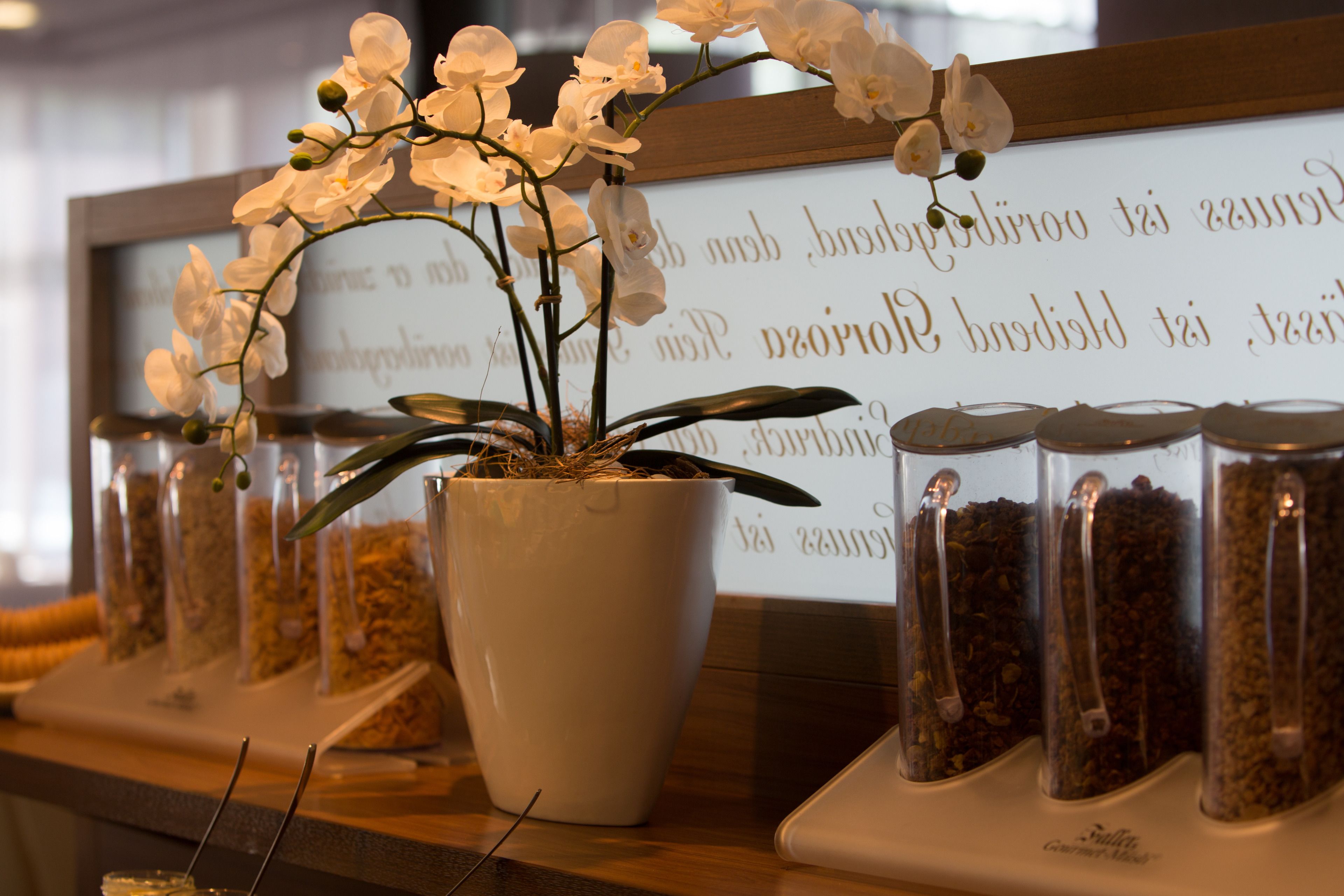 daily buffet breakfast (eur 24 per person)