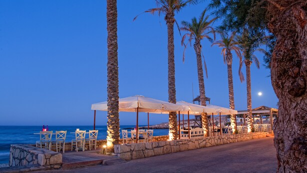 Un restaurant en bord de mer avec une terrasse, des palmiers et une vue sur l’océan.