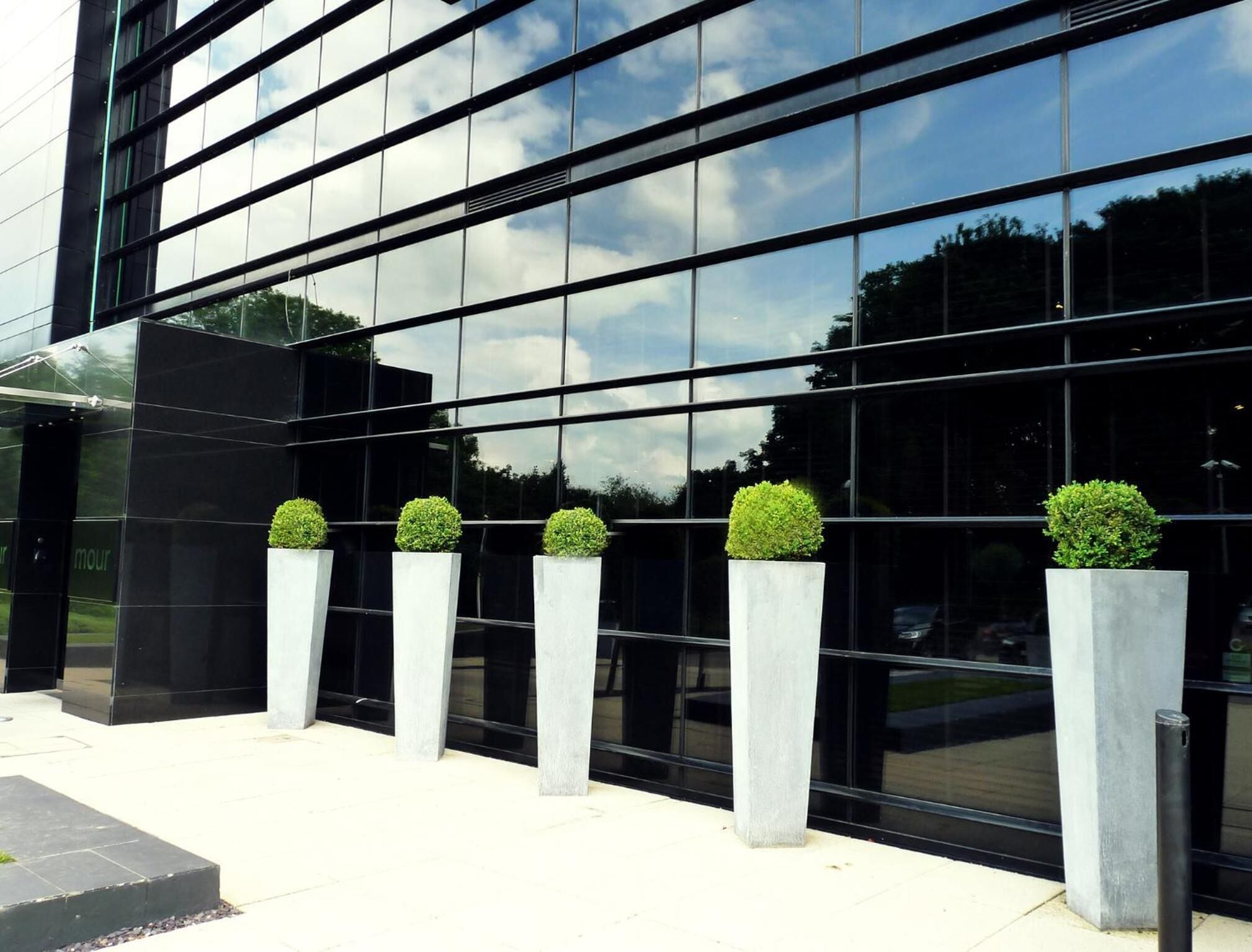 A modern building with reflective glass windows and six concrete planters with spherical topiary plants.