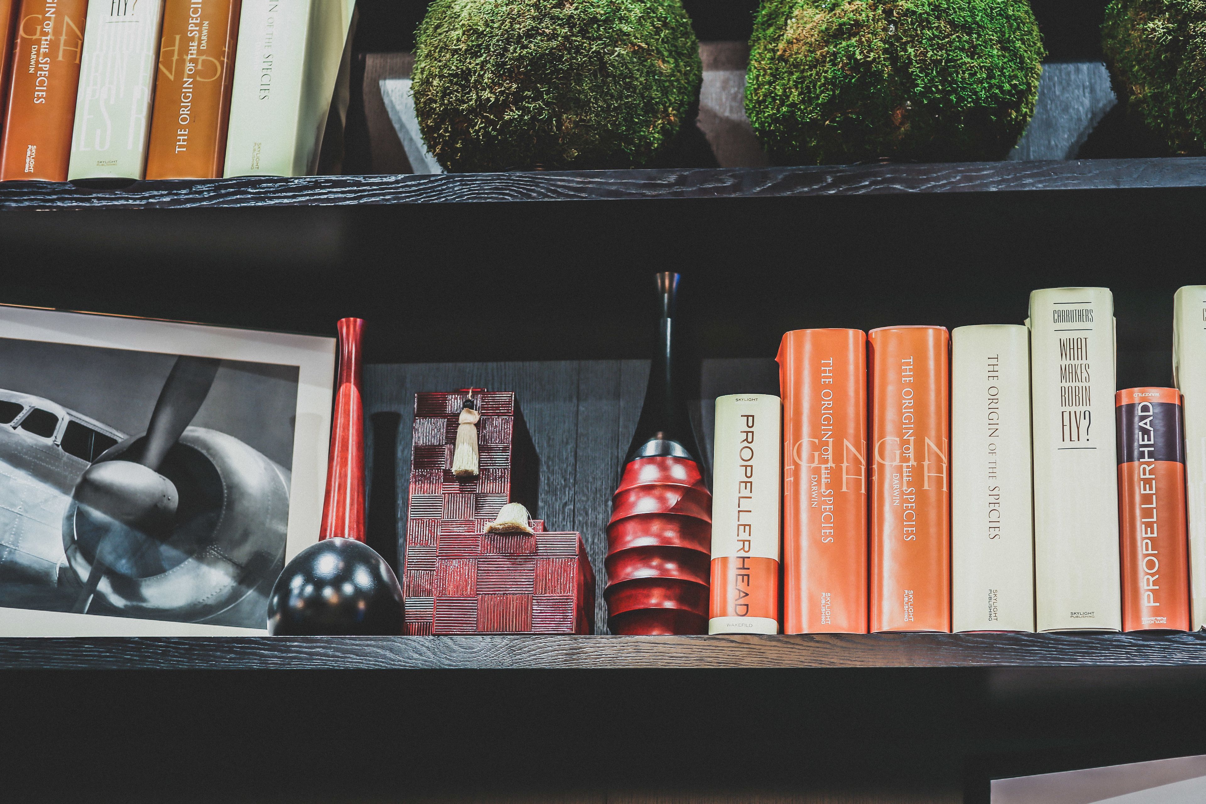 A bookshelf with books, a photograph, and decorative items.