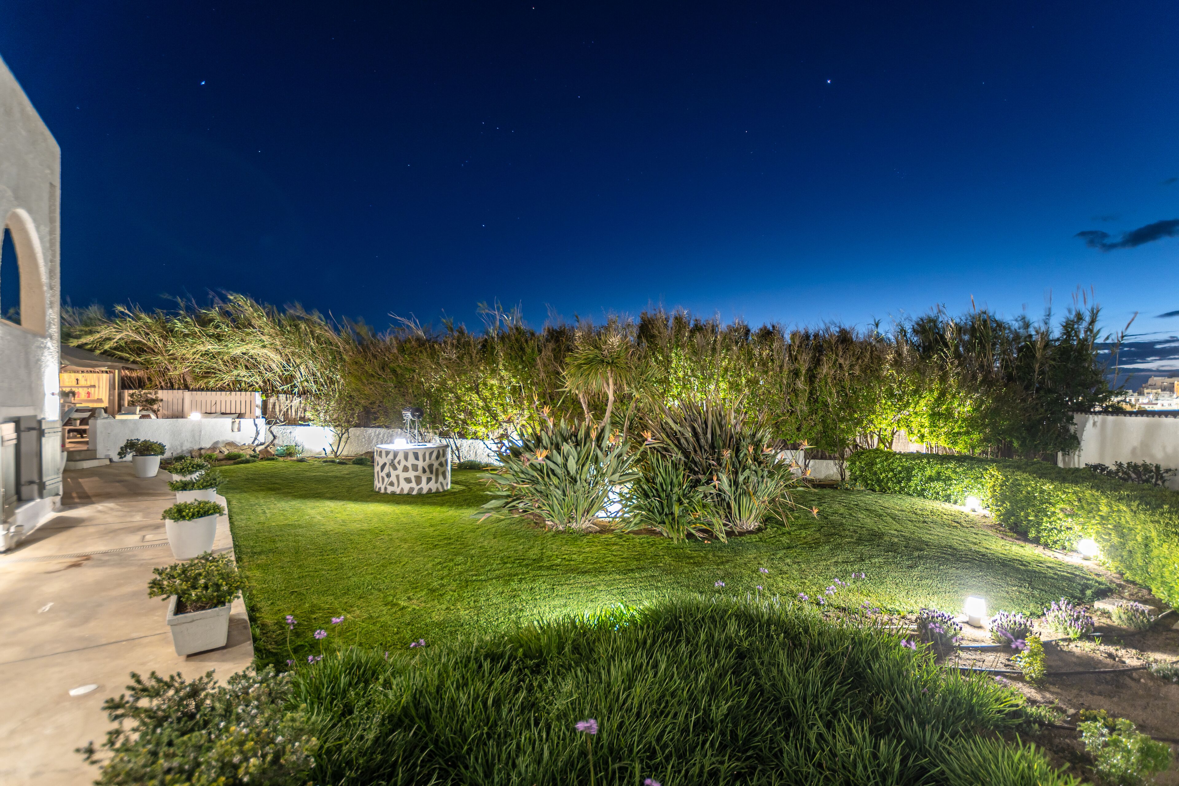 A well-lit garden with a table and chairs, surrounded by various plants and trees.