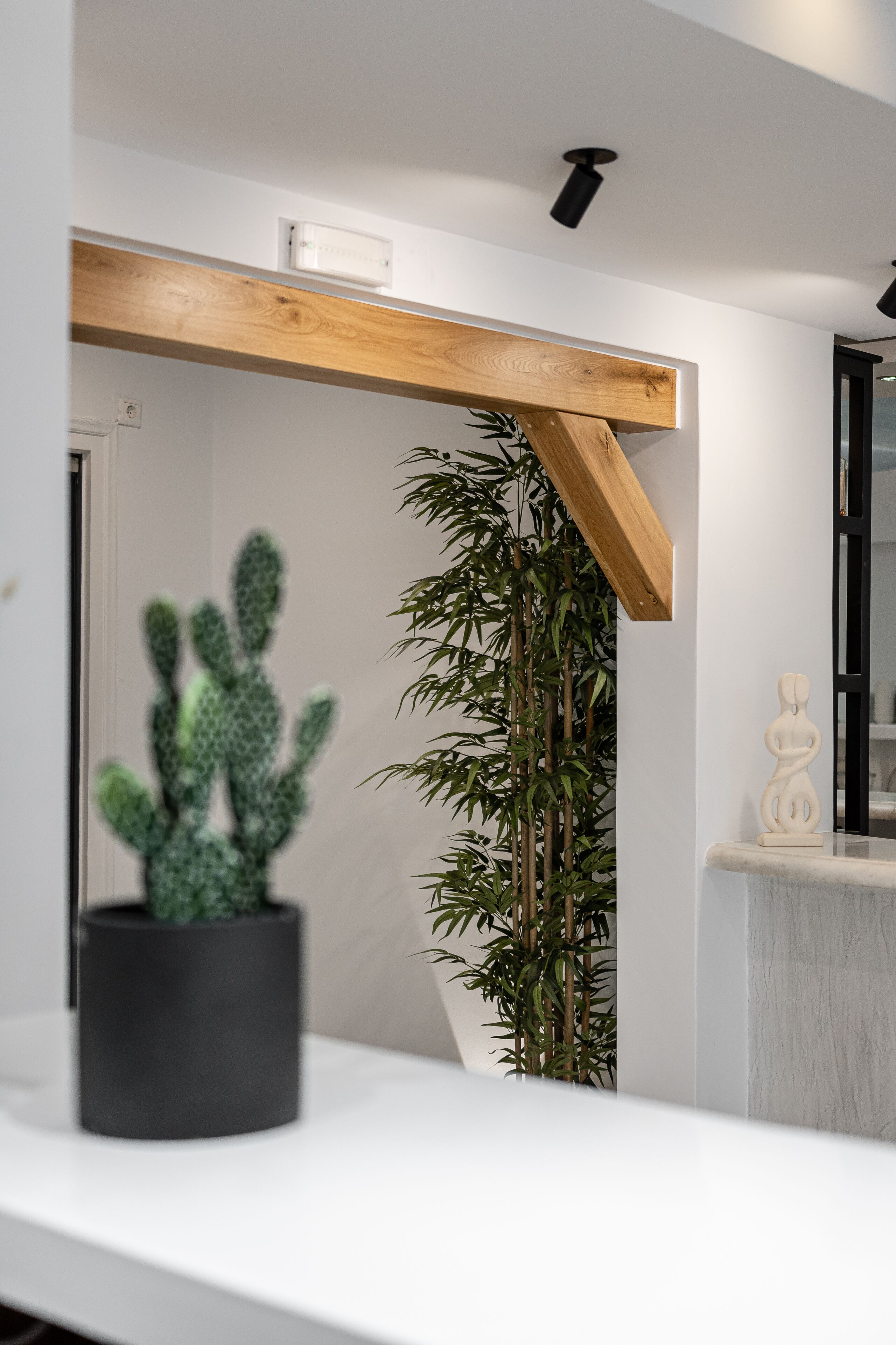 Un interior moderno con una viga de madera en el techo, una planta de cactus y una planta de bambú sobre una encimera blanca.