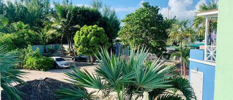 A balcony with a view of a parking area, a thatched structure, and lush greenery.
