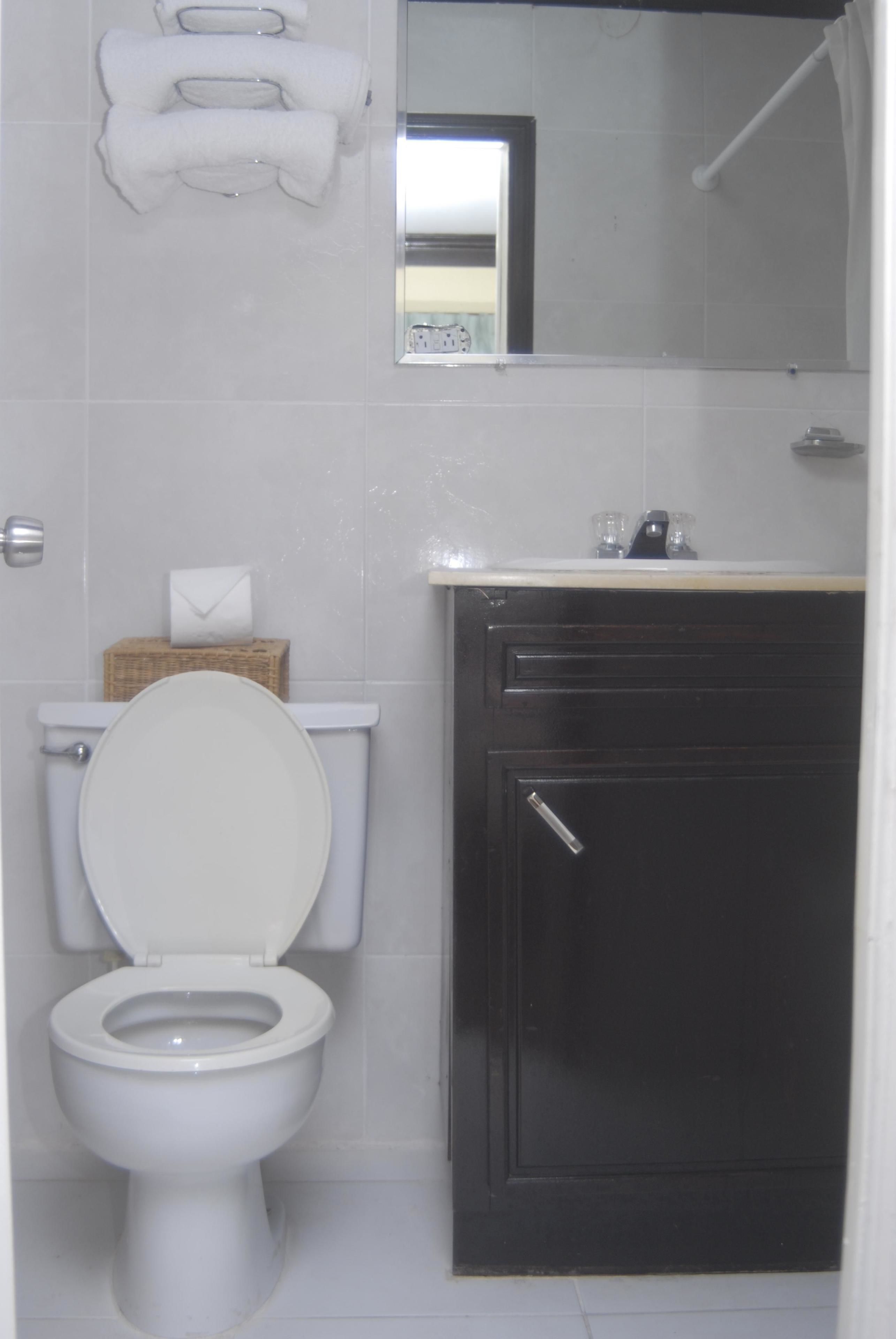Un baño con inodoro, un armario oscuro, un espejo y un perchero para toallas.