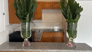 A kitchen with wooden cabinets, granite countertops, and two glass vases with green plants. - Coral Harbour Beach House And Villas (Nassau)