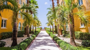 A pathway lined with palm trees and yellow buildings, leading towards a distant view.