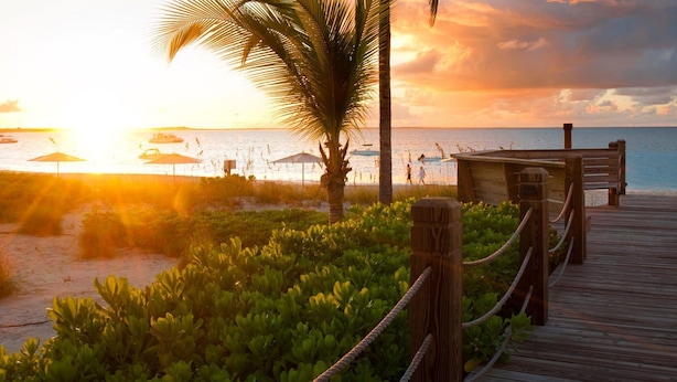 A wooden boardwalk leading to a beach with umbrellas and a palm tree.