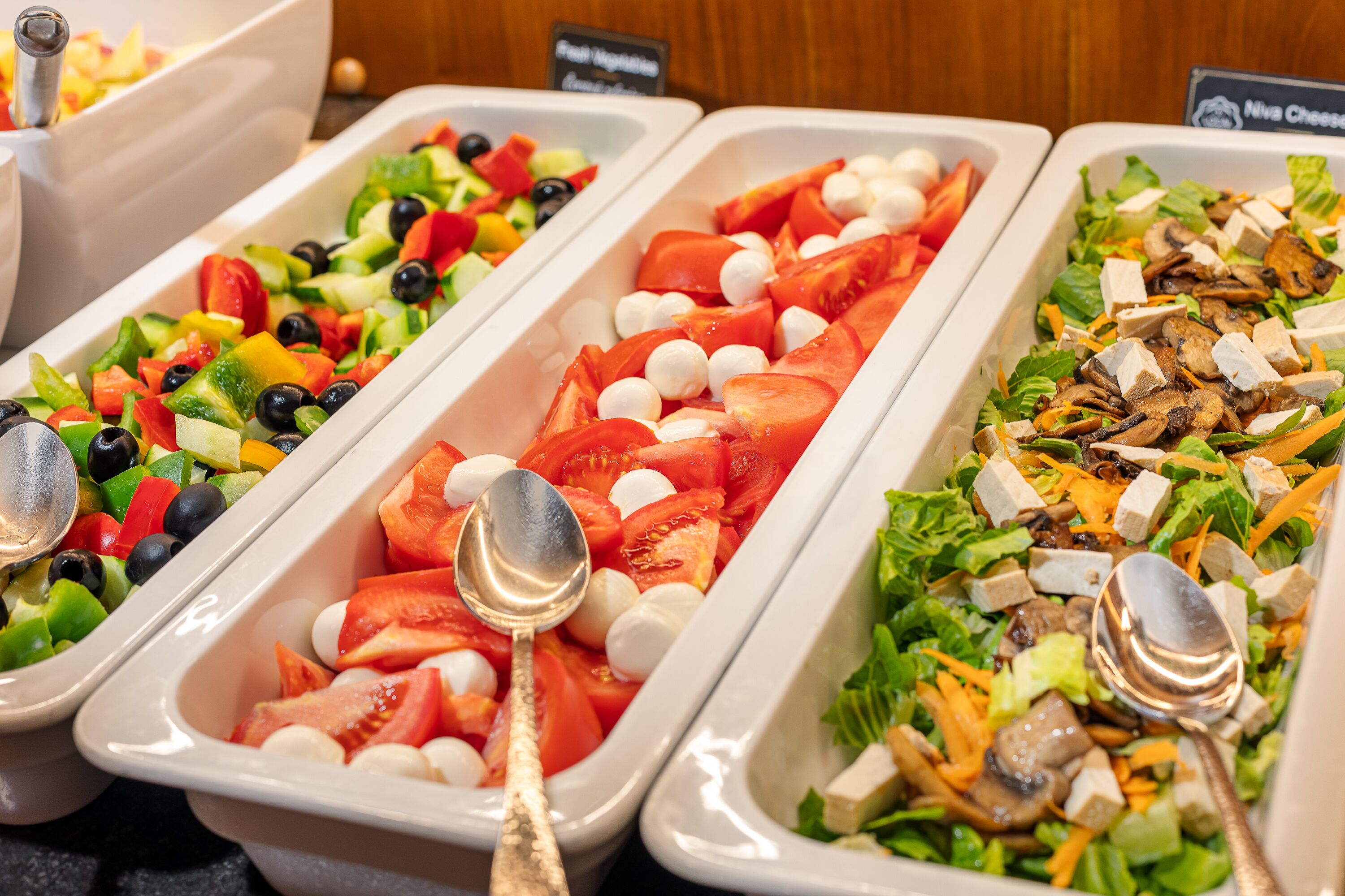 A buffet with various salads including a tomato and mozzarella salad, a mixed vegetable salad, and a salad with tofu and mushrooms.