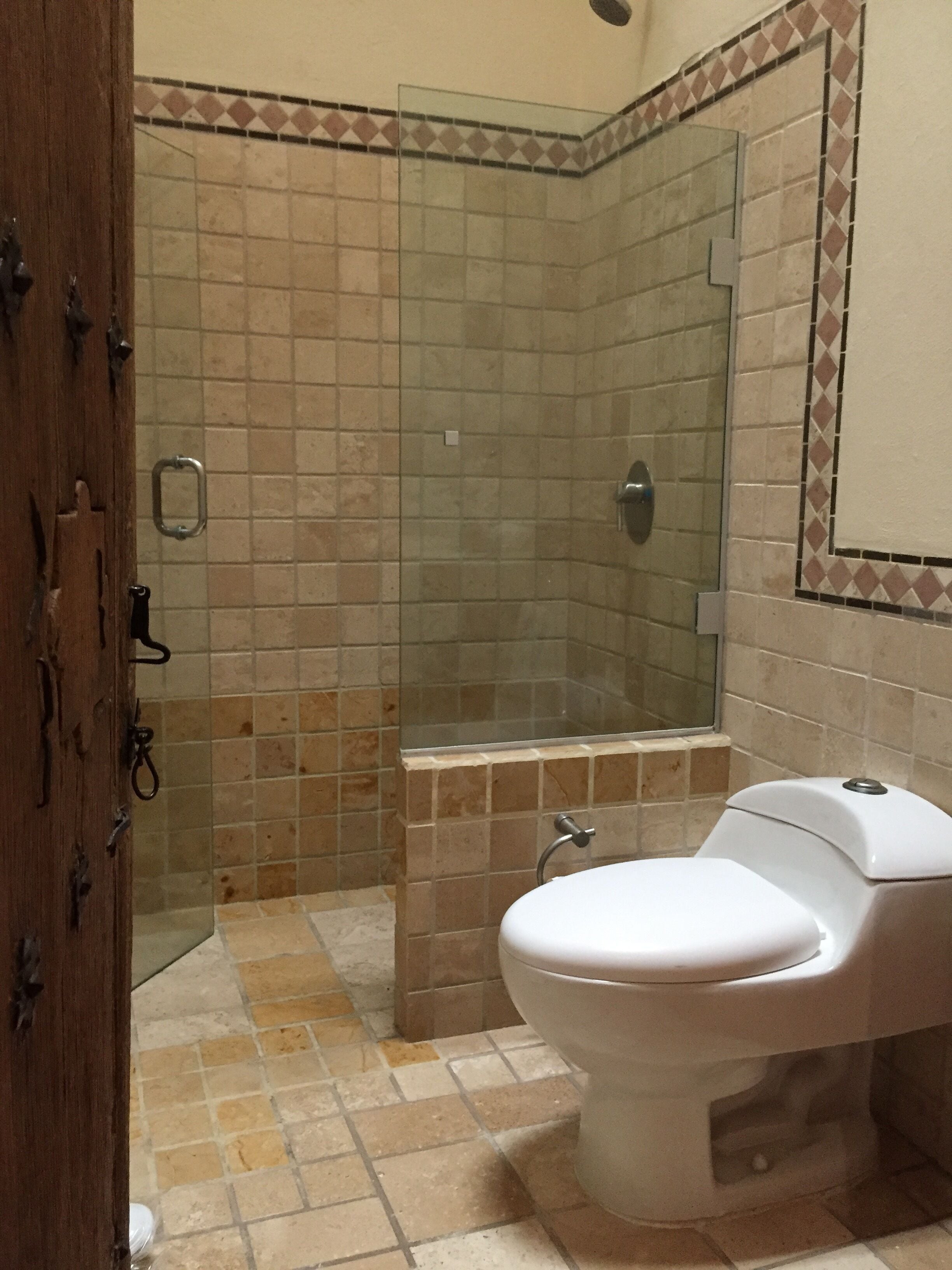 A bathroom with a shower, toilet, and a mirror.