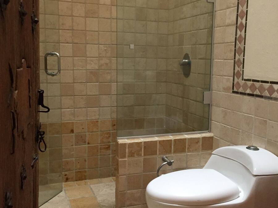A bathroom with a shower, toilet, and a mirror.