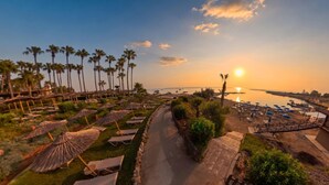 A beachside resort with rows of sun loungers, umbrellas, and palm trees. - Cavo Maris Beach Hotel (Paralimni)