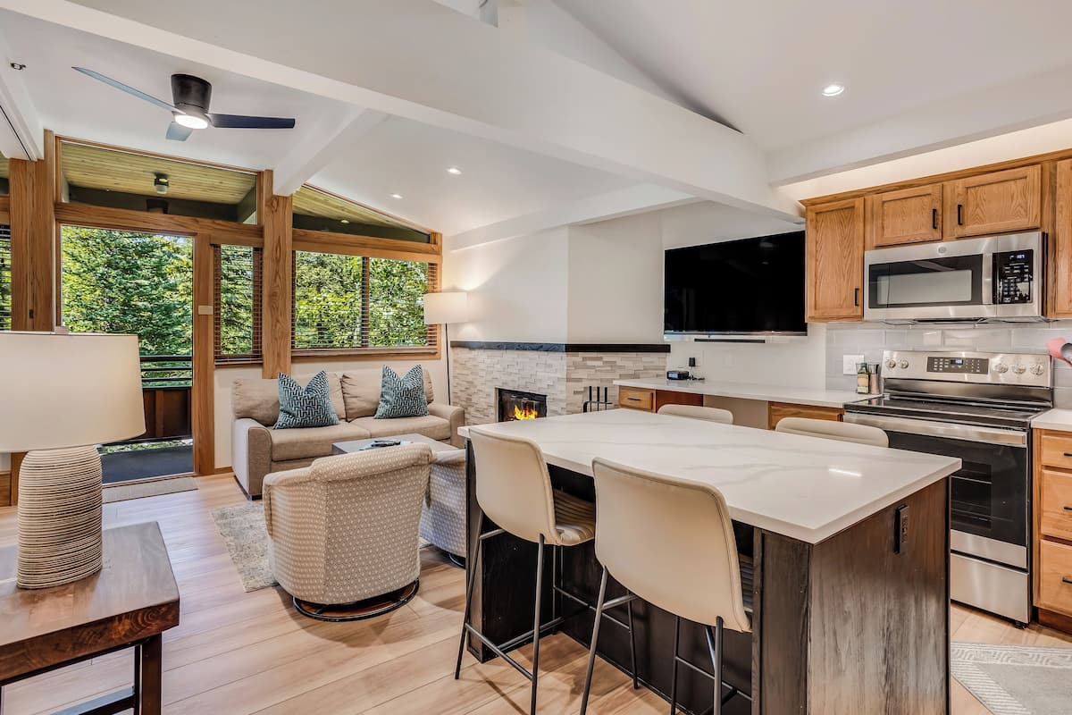 Premier Studio (Unit 211) | Living area | 40-inch Smart TV with satellite channels, TV, fireplace