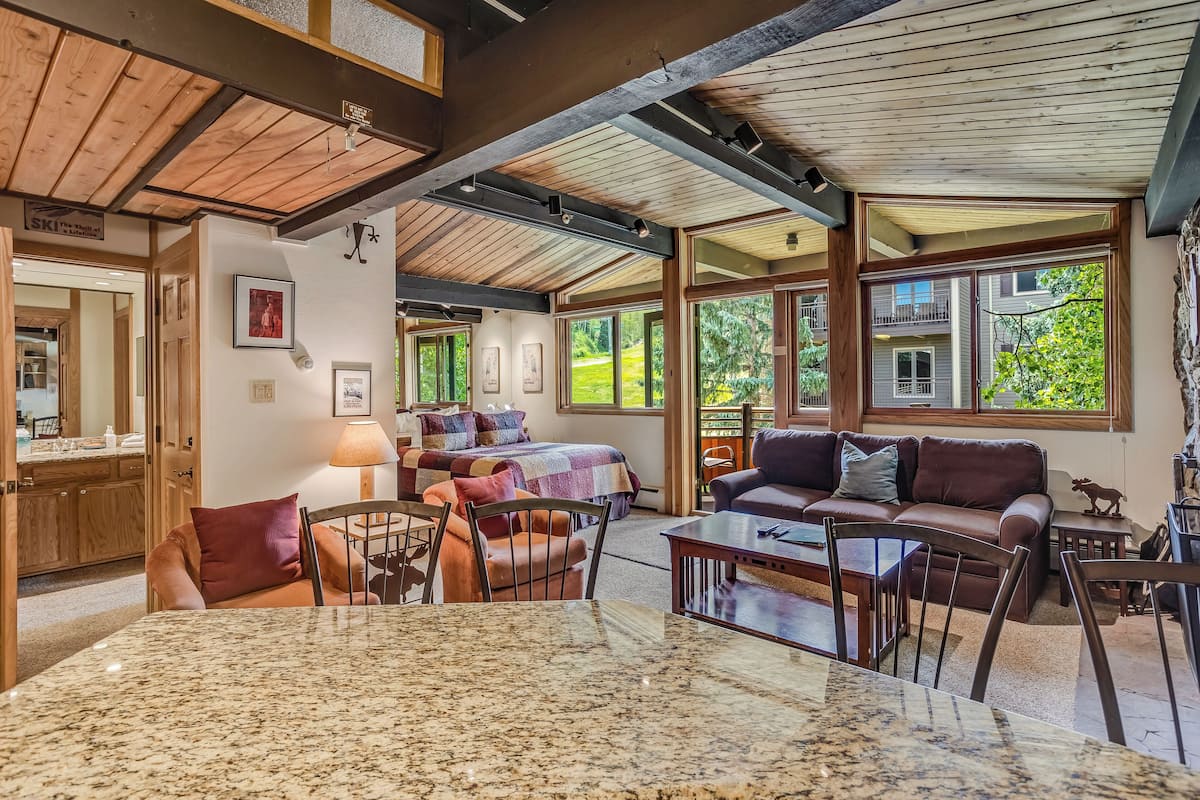 Deluxe Studio (Unit 413) | Living area | 40-inch Smart TV with satellite channels, TV, fireplace
