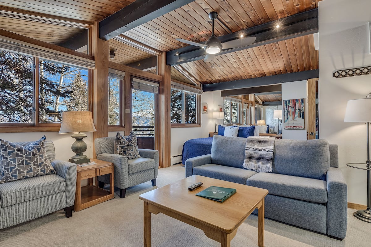 Deluxe Studio (Unit 113) | Living area | 40-inch Smart TV with satellite channels, TV, fireplace