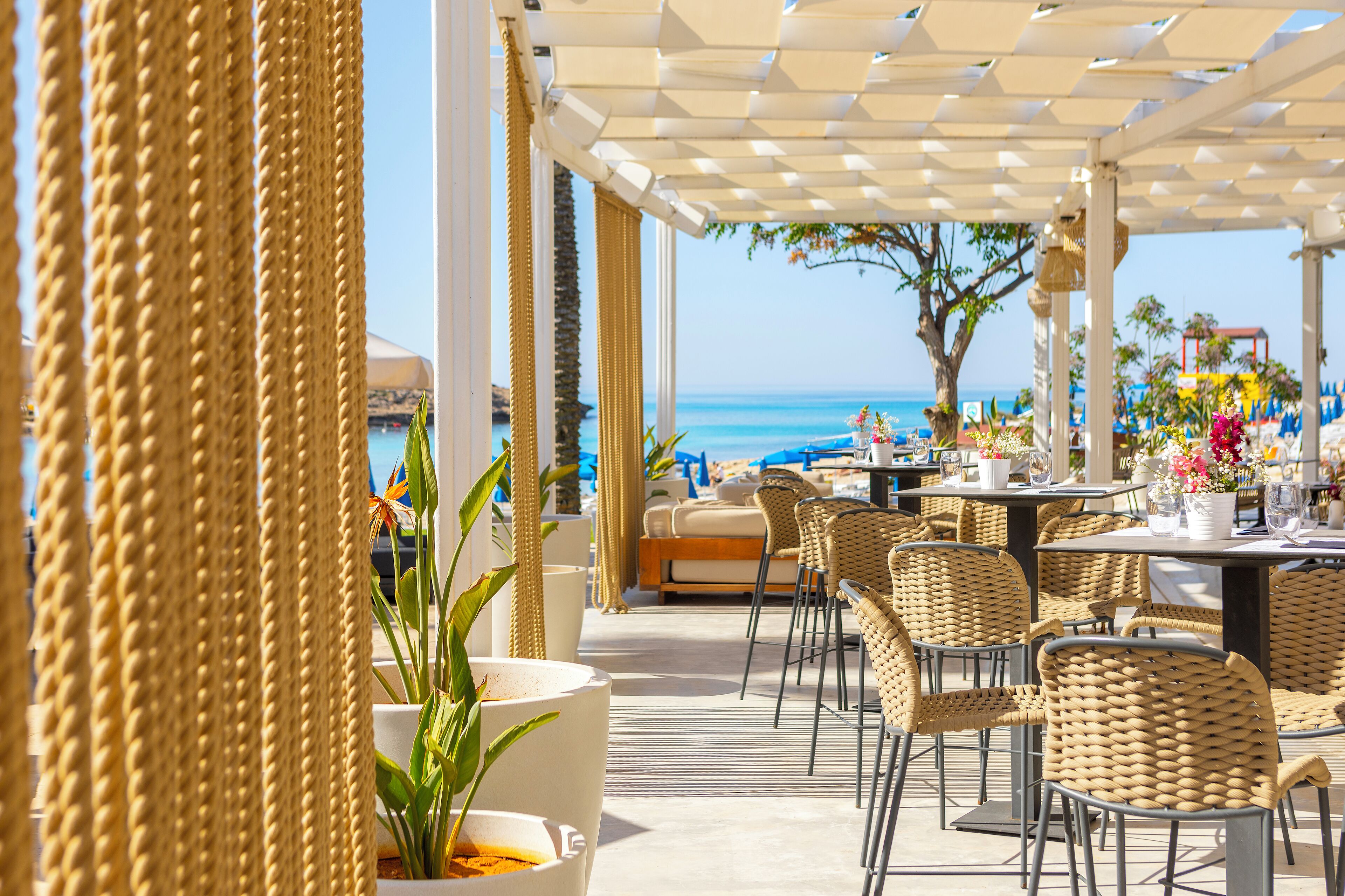 Foto - Pavlo Napa Beach Hotel