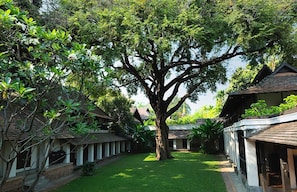 A courtyard with a large tree, traditional-style buildings, and a well-maintained lawn.