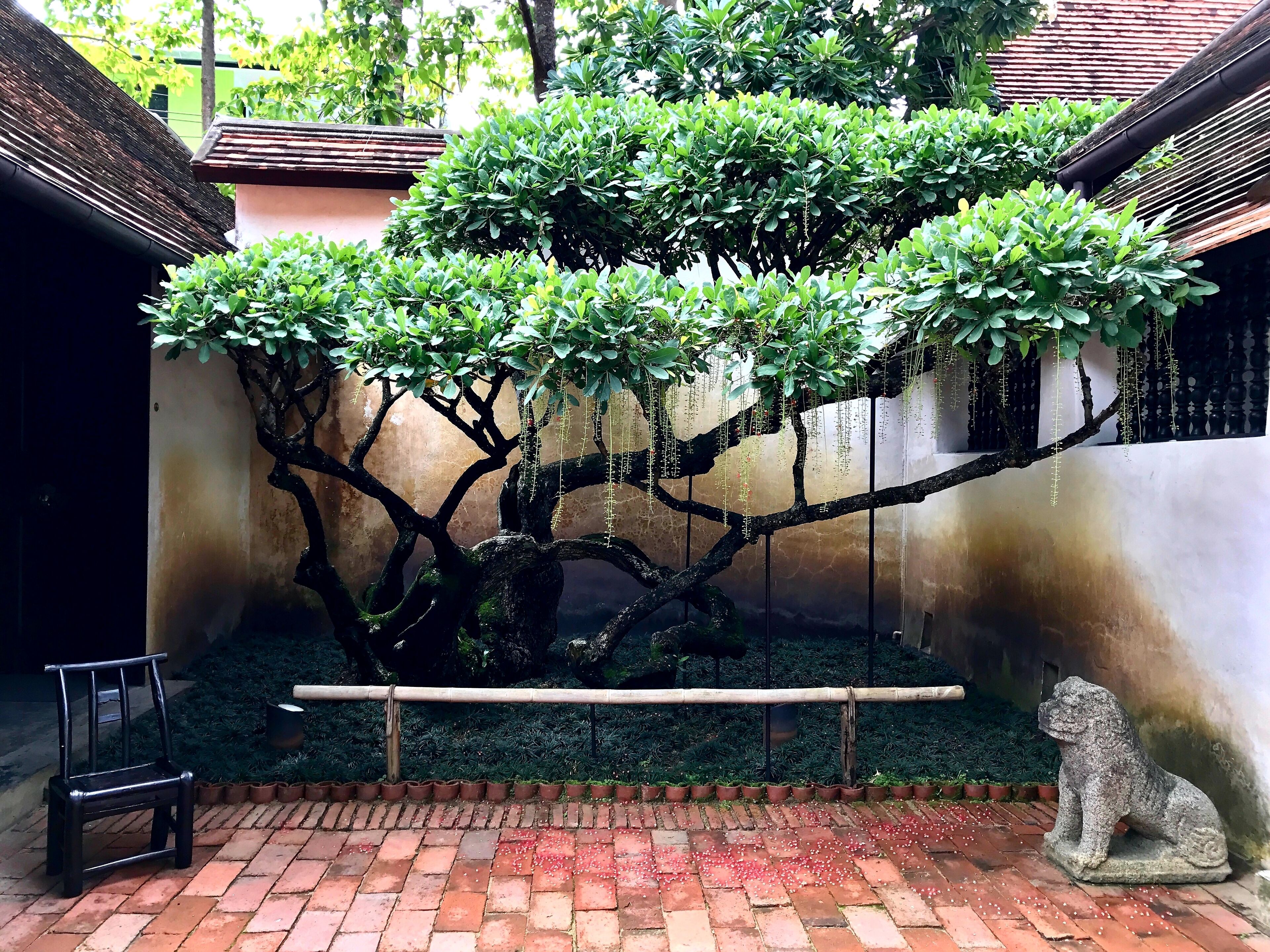 Photo - Rachamankha Hotel