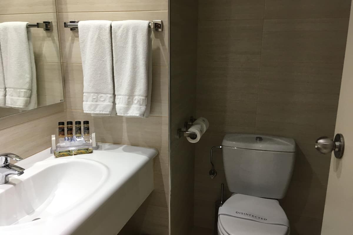 combined shower/bathtub, free toiletries, hair dryer, towels
