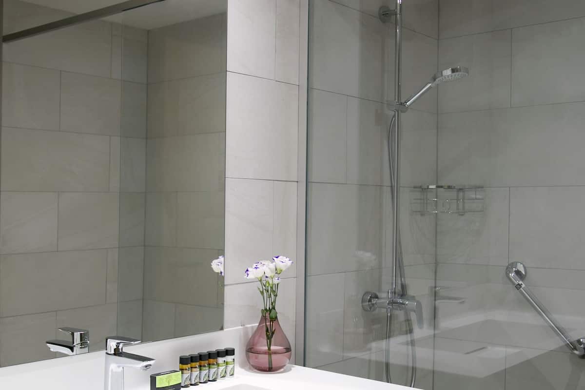 Duş, ücretsiz banyo/kozmetik ürünleri, saç kurutma makinesi, havlu