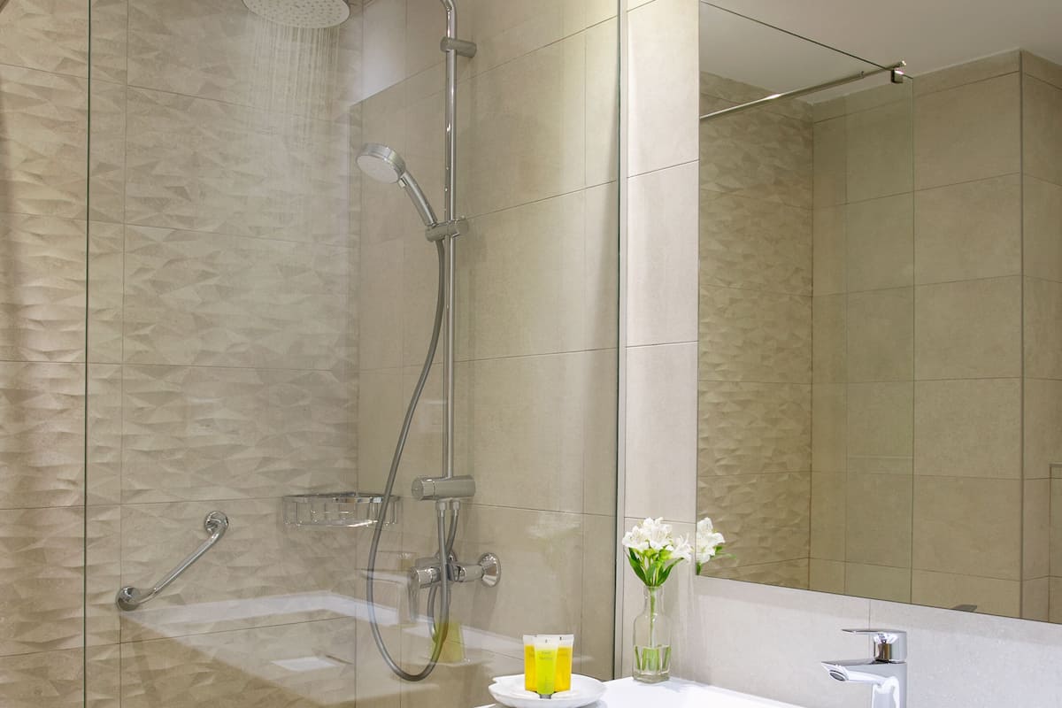 Duş, ücretsiz banyo/kozmetik ürünleri, saç kurutma makinesi, havlu